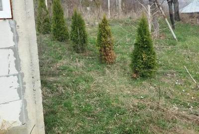 Teren 3950 mp in Capataneni Arges - 7