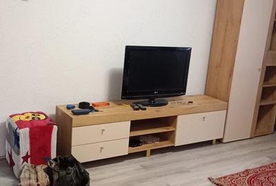 Apartament cu 3 camere decomandat în Valea Ialomiței - 2