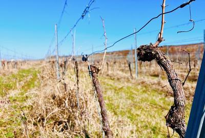 Spațiu comercial, în Mâsca - 4