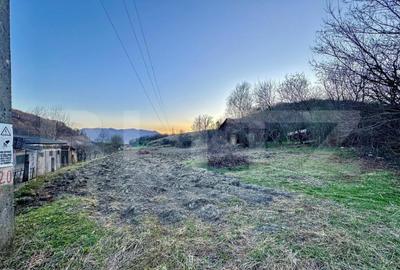 Teren intravilan, ?oimu?, 4600mp - 2