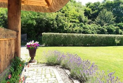 Casa traditionala de vis, aproape de Cluj-Napoca - 6