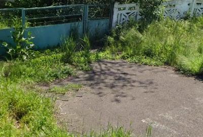 Casă cu 3 camere cu Teren 1400 Mp în Mihai Viteazu - 10