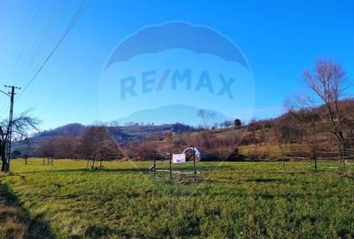 COMISION 0%  Teren intravilan de vanzare in Barsana (26 ARI) - 9