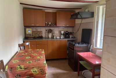Casă cu 2 camere în Iratoșu - 5