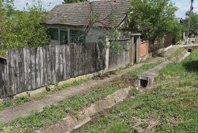 Vind casa cu gradina - 4