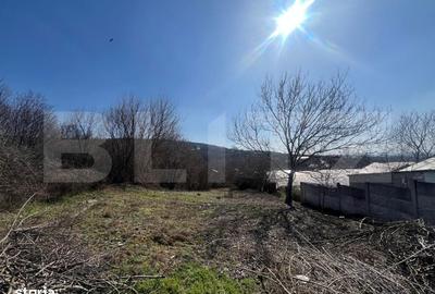 Spațiu comercial, în Izvor - 3