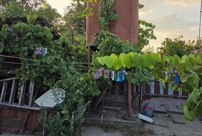 Casă individuală cu 3 camere cu Canalizare în Orțișoara - 11