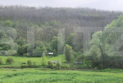 Teren de 120000 mp, în Brădești - 2