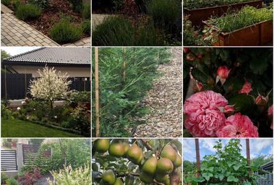 Casă cu 3 camere în Corușu - 7