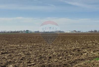 Teren agricol extravilan de 5000 mp, în Moara Vlăsiei - 1