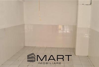 Spatiu Depozitare Avram Iancu - 7