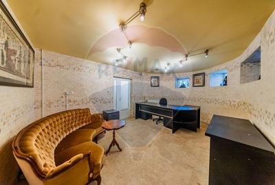 Birou, de 82 mp, în Central - 6