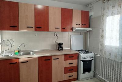 Apartament cu 2 camere, mobilat în Lacul Tei - 11