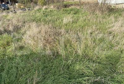 Teren intravilan Varsolt in suprafata de 400mp si 1200 mp ex - 4