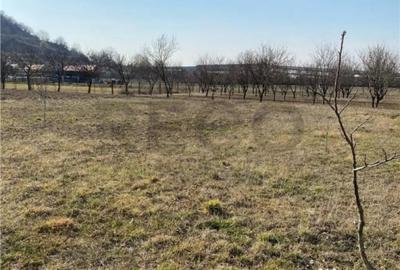 Teren de 800 mp, în Subpiatră - 4