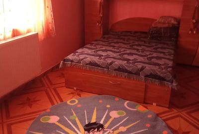Casă cu 4 camere cu Teren 500 Mp în Păltineni - 4