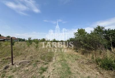 Teren de 700mp cu fundatie si proiect casa 80mp, in Jebel - 3