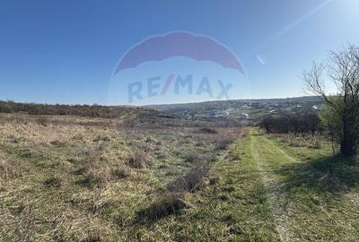 Teren Construcții intravilan de 1107 mp, în Paleu - 4