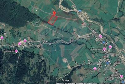 Teren 9,202 mp Manastirea Humorului / Strada Principala BUCOVINA - 8