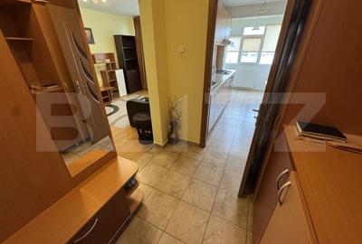 Apartament cu 2 camere semidecomandat, mobilat în Podu Roș - 10