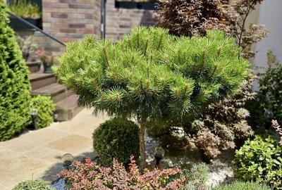 Casă cu 4 camere în Central - 16