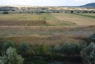 Teren Extravilan Banca, ID: R2805492 - 1