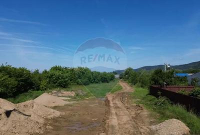 Teren de 11533 mp, în Merișor - 2