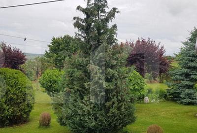 Proprietate HORECA cu sala de evenimente moderna, intr-o oaz - 1