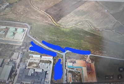 Teren de 40000 mp, în Micălaca - 1