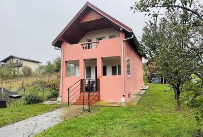 Casă cu 2 camere în Dezmir - 3