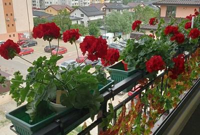 Apartament cu 2 camere semidecomandat în Valea Adâncă - 2
