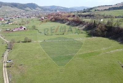 Teren 9,202 mp Manastirea Humorului / Strada Principala BUCOVINA - 6