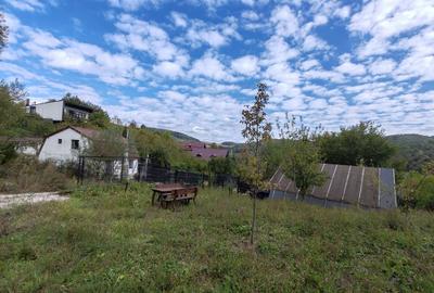 Teren de 5400 mp, în Drăgăneasa - 7