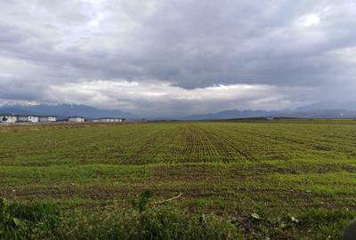 Teren de 1090 mp, în Cristian - 4