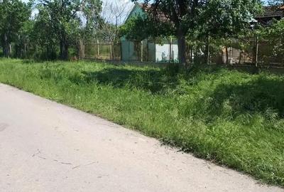 Teren de 2800 mp, în Alioș - 5