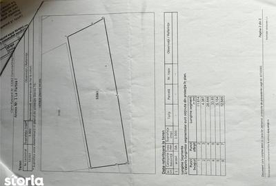 Teren de 1000 mp, în Ceuaș - 1