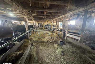 Spațiu comercial, de 275 mp, în Mândra - 1