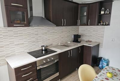 Casa vila cu 10 camere, loc Izbuc, Bihor - 5