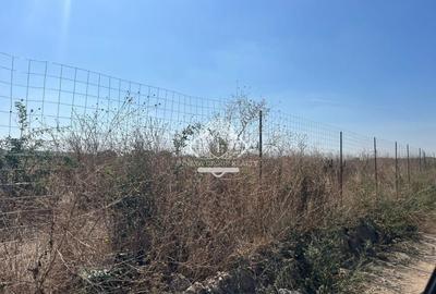 Casă modernă la parter, situată în București - Zona Giulesti - 6