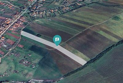 Teren de 12100 mp, în Remetea Mică - 4