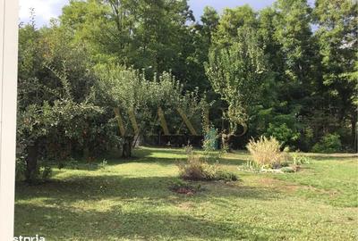 Casă cu 3 camere decomandat cu Teren 1000 Mp în Vaida-Cămăraș - 5