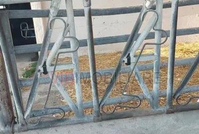 Ferma zootehnica func?ionala, populata cu peste 200 capete bovine, aproape de Sannicolau Mare - 8