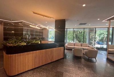 Spatiu stradal cu trafic intens - 2