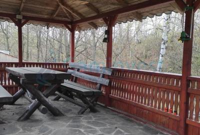 Cabană în zonă montană, Bihor, oportunitate de investiție,Gaminvest, V3155B - 20