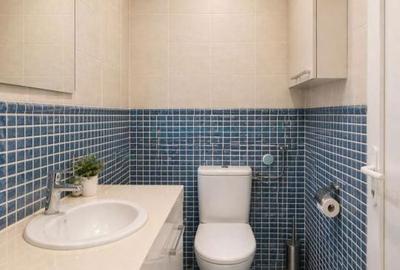 Casă cu 5 camere cu Teren 2778 Mp în Hidiș - 6