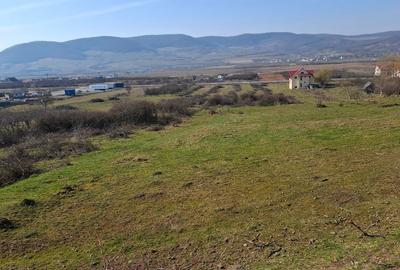 Teren Construcții intravilan de 14500 mp, în Șieu-Măgheruș - 4