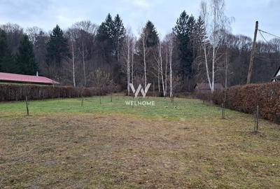 Teren deosebit pozitionat, cu livada, langa padure,  pe Valea Avrigului - 5