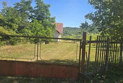 Casa cu teren 5900 mp str. Ghinzii sub padure - 8