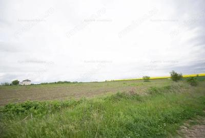 Teren de 1058 mp, în Dârvari - 2