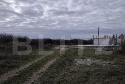 Teren de 10925 mp, în Sânmartin - 4